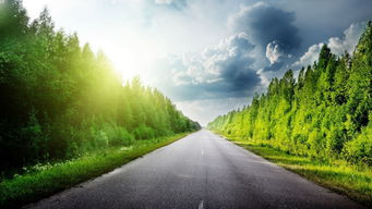 晨光下的綠色公路